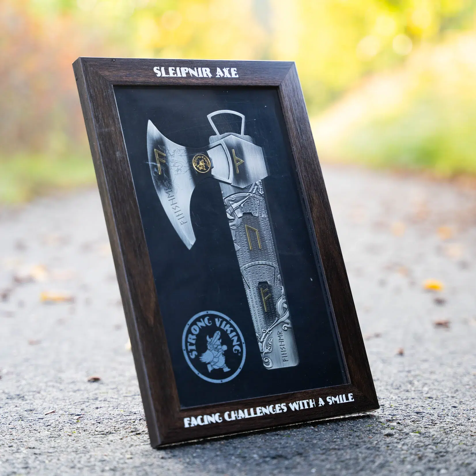 sleipnir axe medal frame