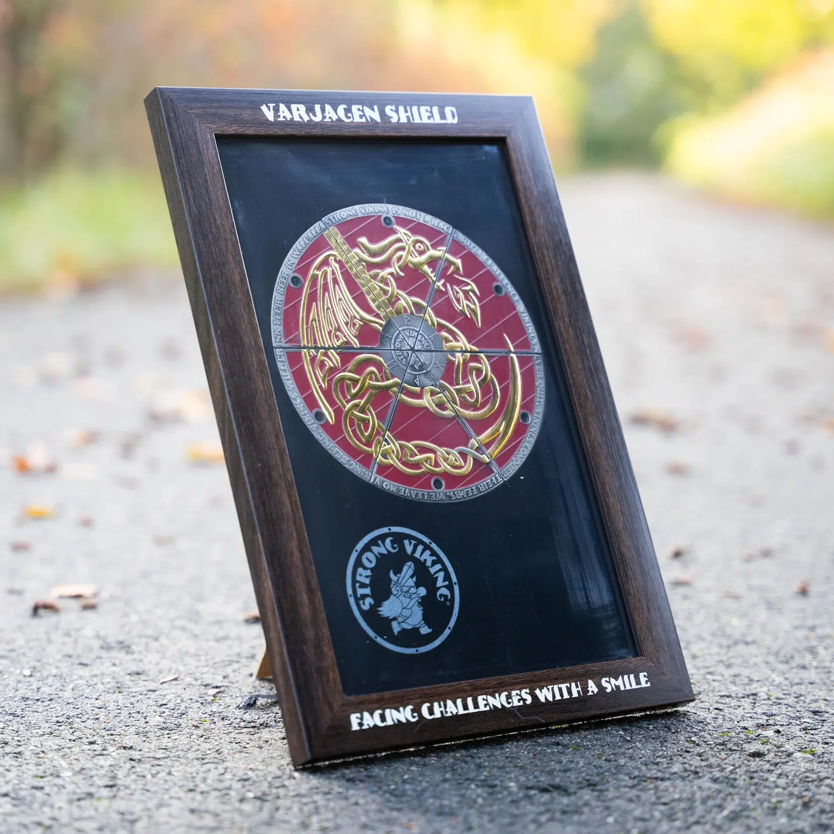 medal frame voor het varjagen shield